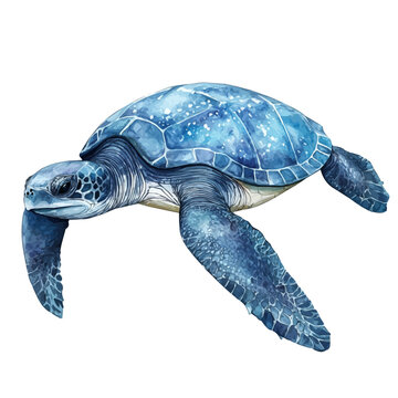 Leatherback Sea Turtle, watercolor illustration featuring playful movement and lively expressions, isolated on a white background.
