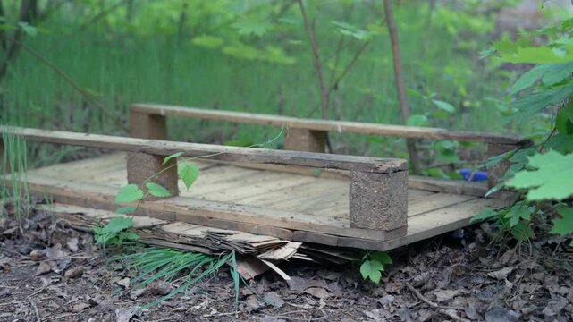 Abandoned Wooden Pallet Lying in Forest Undergrowth | Parallax Shot of Discarded Logistics Equipment Overgrown with Plants | Environmental Neglect Concept