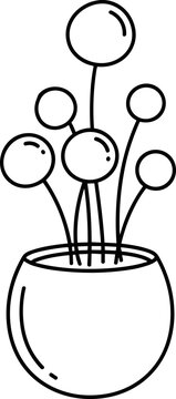 Minimalist line art of a plant with spherical leaves in a round vase, isolated on white.