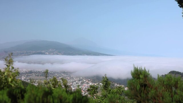 Vista panor&aacute;mica de una ciudad en el valle cubierta por un mar de nubes desde un bosque de pinos