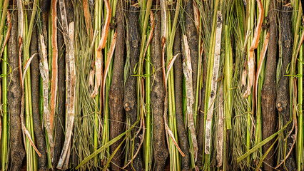 Obraz premium Natural materials arranged in a line showing different textures and colors found in plants and wood