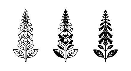 Elegant Foxglove Flower Icons, Digitalis Plant Vector Graphics, Botanical Illustration Set, Nature Element Designs © Khairul