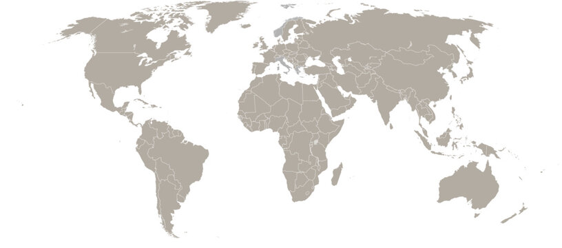 A gray and white map of the world with country borders on a white background