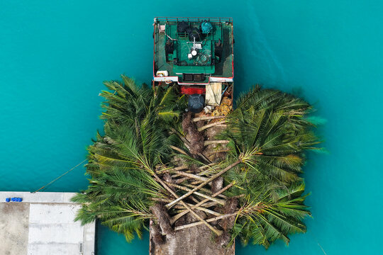 Aerial view of a cargo barge transporting several large palm trees across turquoise tropical waters near a concrete pier Hanimaadhoo, Haa Dhaalu Atoll, Maldives.