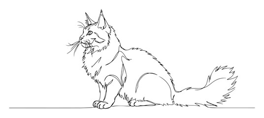 maine coon cat sitting elegant line drawing © Wieslaw