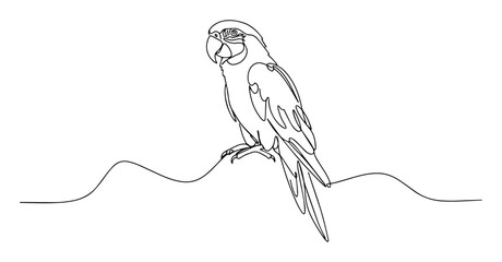 macaw parrot sitting on perch vector line drawing © Wieslaw