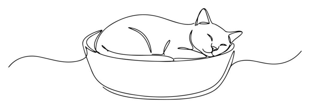 cat sleeping in bowl simple minimalist drawing with one thin line