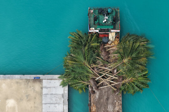 Aerial view of a barge carrying uprooted palm trees docked at a concrete pier in turquoise waters Hanimaadhoo, Haa Dhaalu Atoll, Maldives.