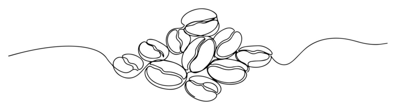 scattered coffee beans line vector drawing