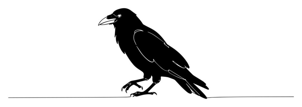 crow bird side view sketch of a thin one line in the style of a black vector on a white background