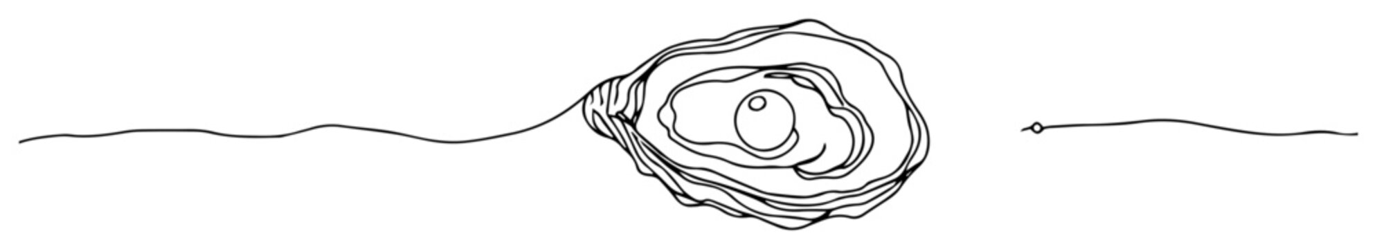 pearl in open oyster shell line drawing