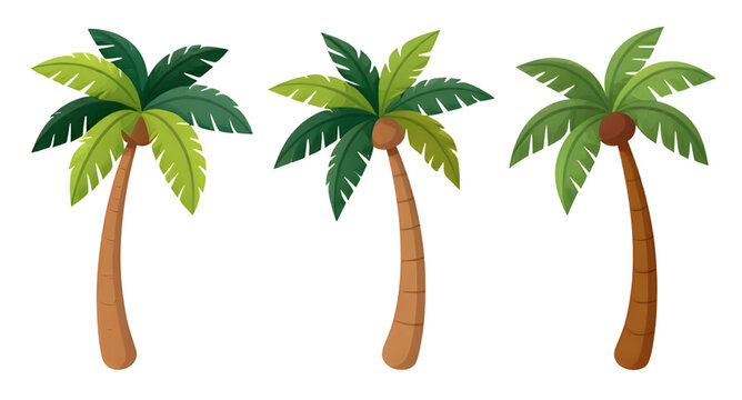 summer, palmtree, cartoon, tropical, tree, island, beach, nature, coconut, exotic, vacation, paradise, playful, cute, vector, illustration, isolated