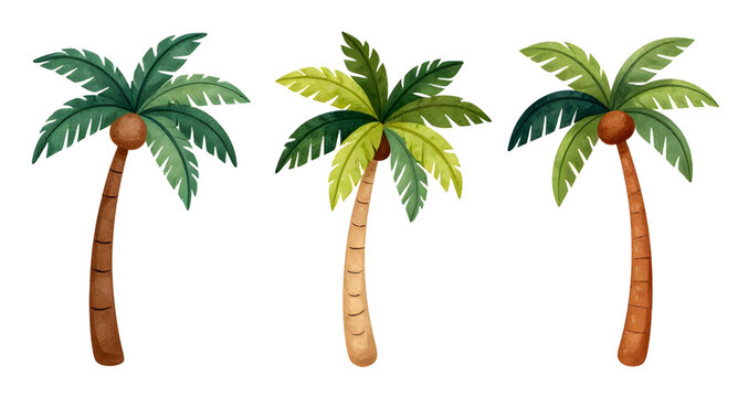 tropical, palmtree, cartoon, tree, island, beach, summer, nature, coconut, exotic, vacation, paradise, playful, cute, vector, illustration, isolated