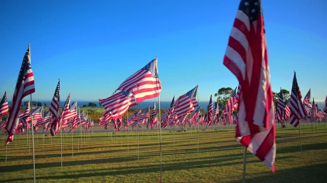 USA Flag September 11 memorial tribute displays hundreds of American flags waving in the wind on a green grass field during golden hour with ocean views and clear blue sky in the background.