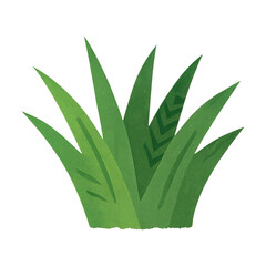 Obraz premium PNG Vibrant green grass illustration