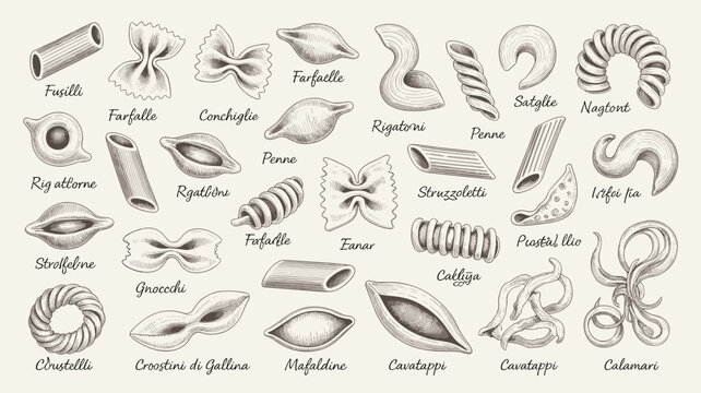 Hand drawn assortment of various italian pasta shapes with labels italian food collection