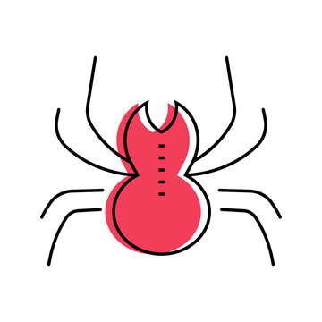 Halloween spider icon. Animals and arachnid line symbol. Color.