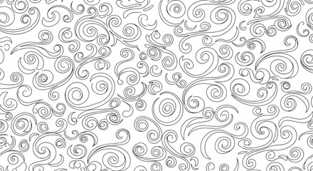 Fototapeta premium Abstract Swirls and Flourishes Pattern Black and White Hand Drawn Style