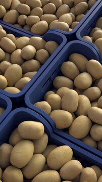 Stock of potatoes. Several boxes stacked in a warehouse.