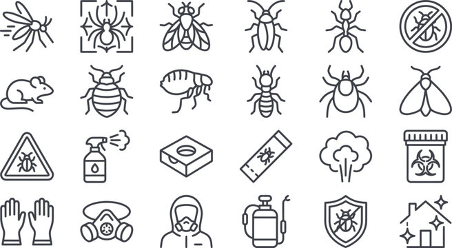 Vector illustration of various insects pests pest
