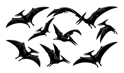 Flying Pterodactyl Silhouettes Vector Set with Prehistoric Reptile Poses © Rakibul