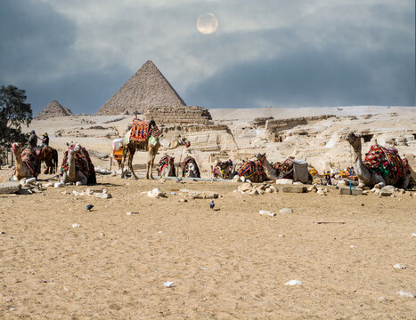 Pyramid at Giza Egypt, carmel in the sand moon in the sky