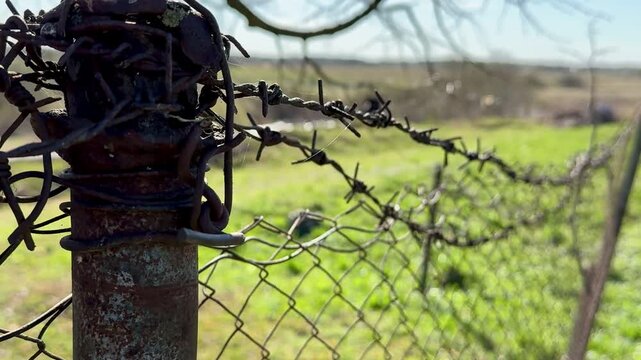 Rusty chain fence on garden plot under bare tree branches, leaning metal post and old pipe casting long shadow across fresh spring.