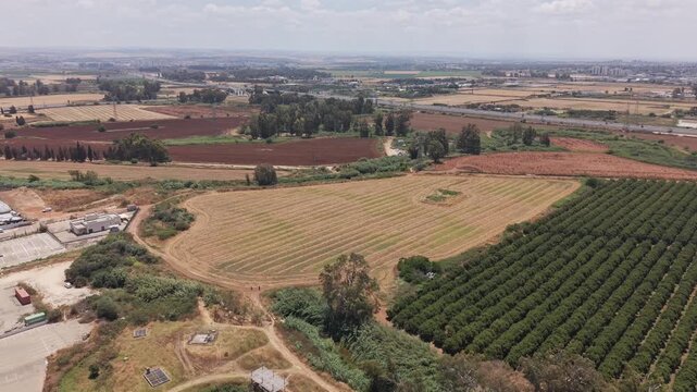 Aerial drone view of harvested golden fields, dense orchard rows and industrial buildings with highway and urban horizon in Hod Hasharon, Israel

