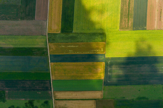 Aerial view of colorful rectangular agricultural fields and a narrow rural path under soft cloud shadows in Forchheim, Bavaria, Germany.