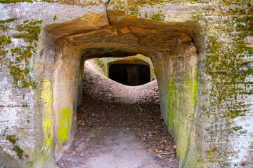 Fototapeta premium Hynsta Castle ruins are carved into sandstone rock. The site is located in Bohemian Paradise, Czechia. The entrance leads into dark tunnels surrounded by a natural landscape.