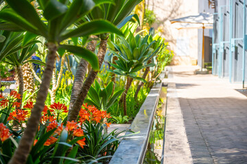 Fototapeta premium Visitors walk along the pathways of the Secret Garden in Marrakesh. Bright flowers grow beside tranquil water features. The scene shows a lush setting during a sunny day.