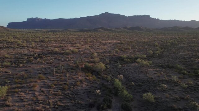 Aerial over a scenic desert landscape with Saguaro cactus in the morning light