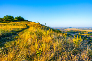 Fototapeta premium The scene shows the summit of Oblik Hill during a summer evening. The path winds across the hill, and fields stretch out beneath a clear sky. Trees are scattered along the edge.