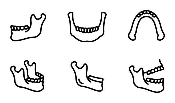 Mandible Anatomy Icons, Jawbone Vector Set, Dental Structure Illustrations, Human Skeleton Elements