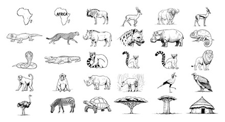 African wildlife animals and safari elements set in hand drawn engraving style © Tomas