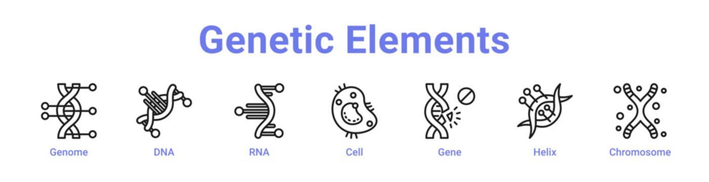 Genetic Elements Web Icon Banner and Collection