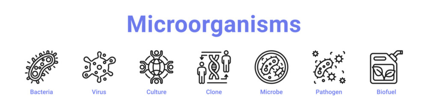 Microorganisms Web Icon Banner and Collection