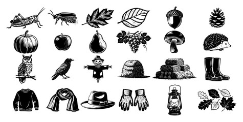 Autumn and harvest element icon set including pumpkin leaves and animals in retro woodcut engraving style © Tomas