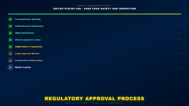 The official regulatory approval process for lab grown meat is illustrated through an animated checklist progressing from early submissions to a successful commercial market launch.