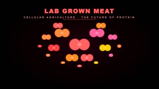 This abstract animation illustrates the process of lab grown meat production through colorful dividing cells multiplying rapidly against a dark background in a scientific visualization.
