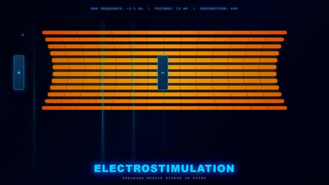 Modern biotechnology interface displays the process of lab grown meat being developed through electrostimulation to simulate muscle growth and natural texture in a futuristic laboratory