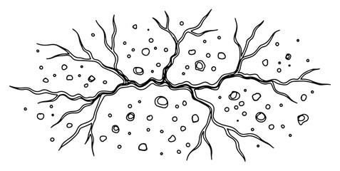 Ground crack with rocks and branching veins in hand drawn doodle style © Tomas