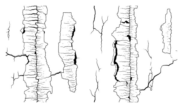 Natural vertical cracks and wood bark textures in organic hand drawn style