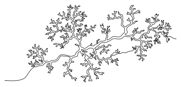 Branching organic growth pattern resembling lichen or coral in minimalist line art style