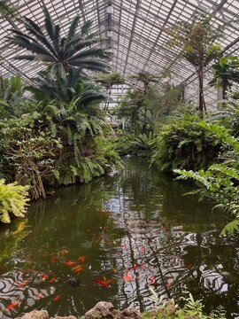 Garfield Park Conservatory in Chicago, IL