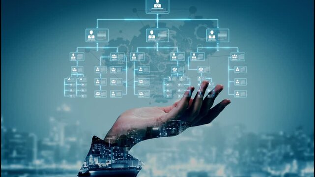 Corporate org chart and team structure show hierarchy, team, and structure for clear organization, management, and operational planning Marrow