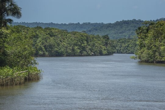 Comte river flows through jungle, Roura, French Guiana