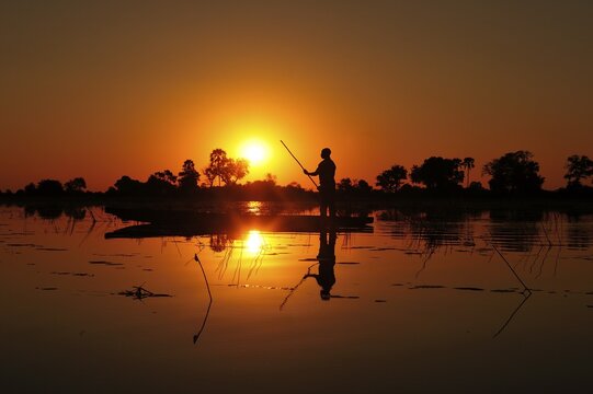 Local bargeman sails in traditional Mokoro dugout boat at sunset, Okavango Delta, Botswana