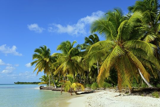 Palm Beach, Parque Nacional del Este, Dominican Republic