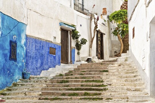 Blue-white washed alley with steps in the historic centre, Rabat, Morocco